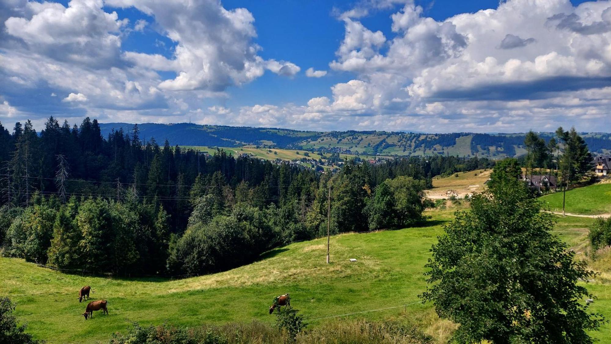 Willa Posrednia Zakopane Eksteriør bilde